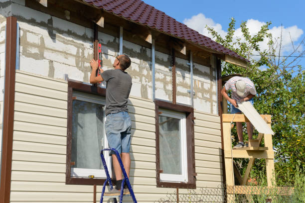 Best Custom Trim and Detailing for Siding  in Hernando, MS