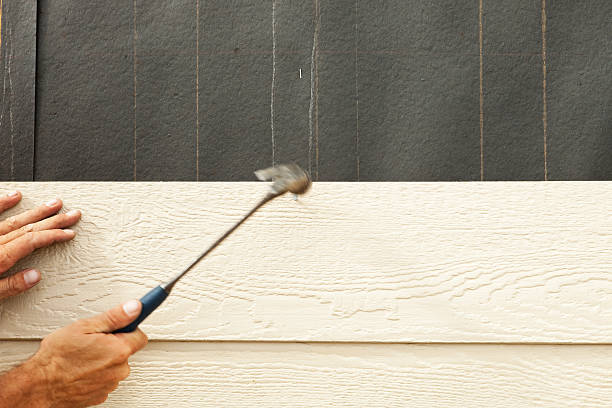Best Storm Damage Siding Repair  in Hernando, MS